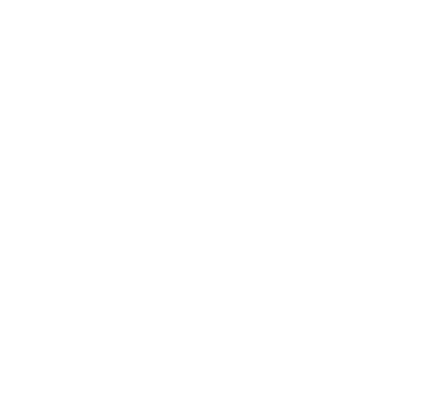 A white phone icon